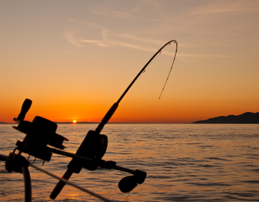 Fly rods — In stock